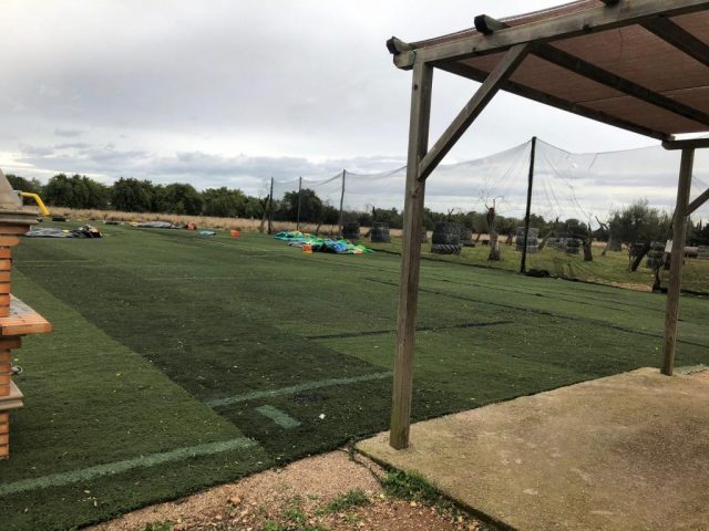 f2583208-c89f-49c5-b0be-bd38d48be885 Área recreativa con césped antiguo previo a renovación